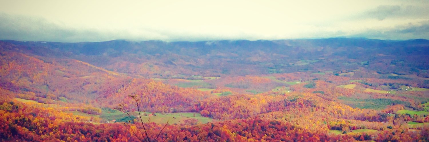 Emily Frederick banner