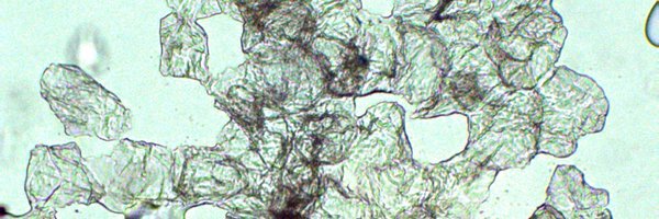 drsarabrown Profile Banner