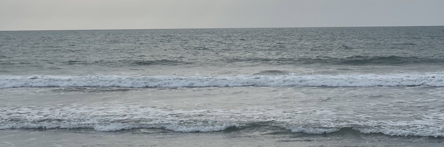 dantrivino's profile banner image