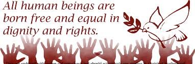 SJW_1979's profile banner image