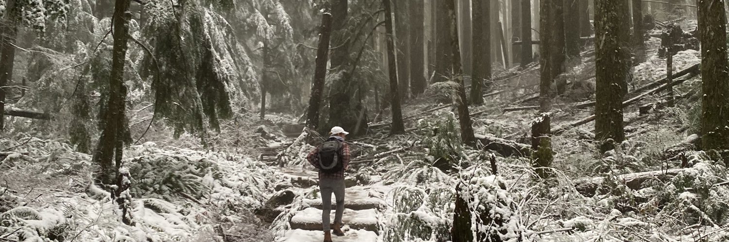 robertdrapp's profile banner image