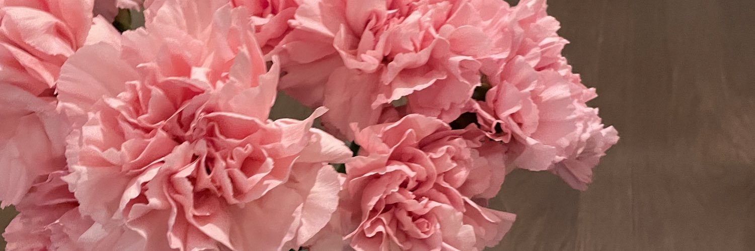 beautifulash3's profile banner image