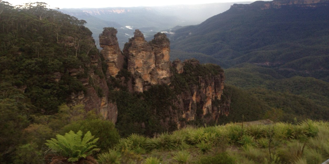 Stacey Webster banner