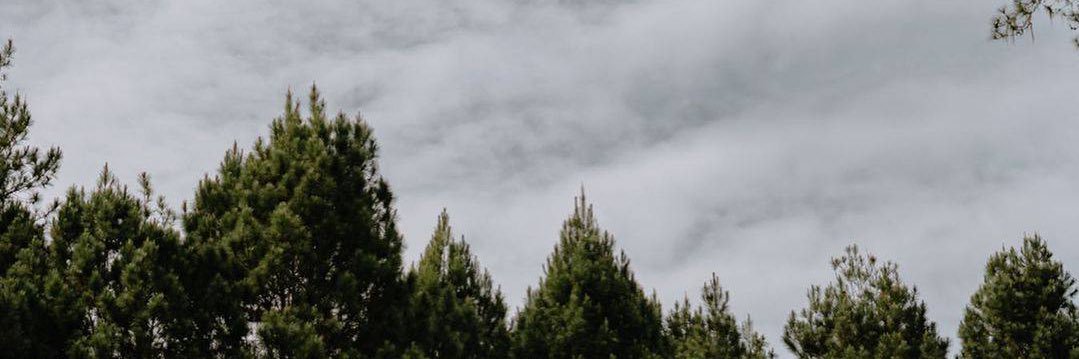 cicisilvia's profile banner image