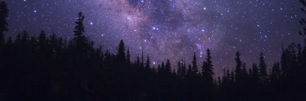 Kevin Collinson banner