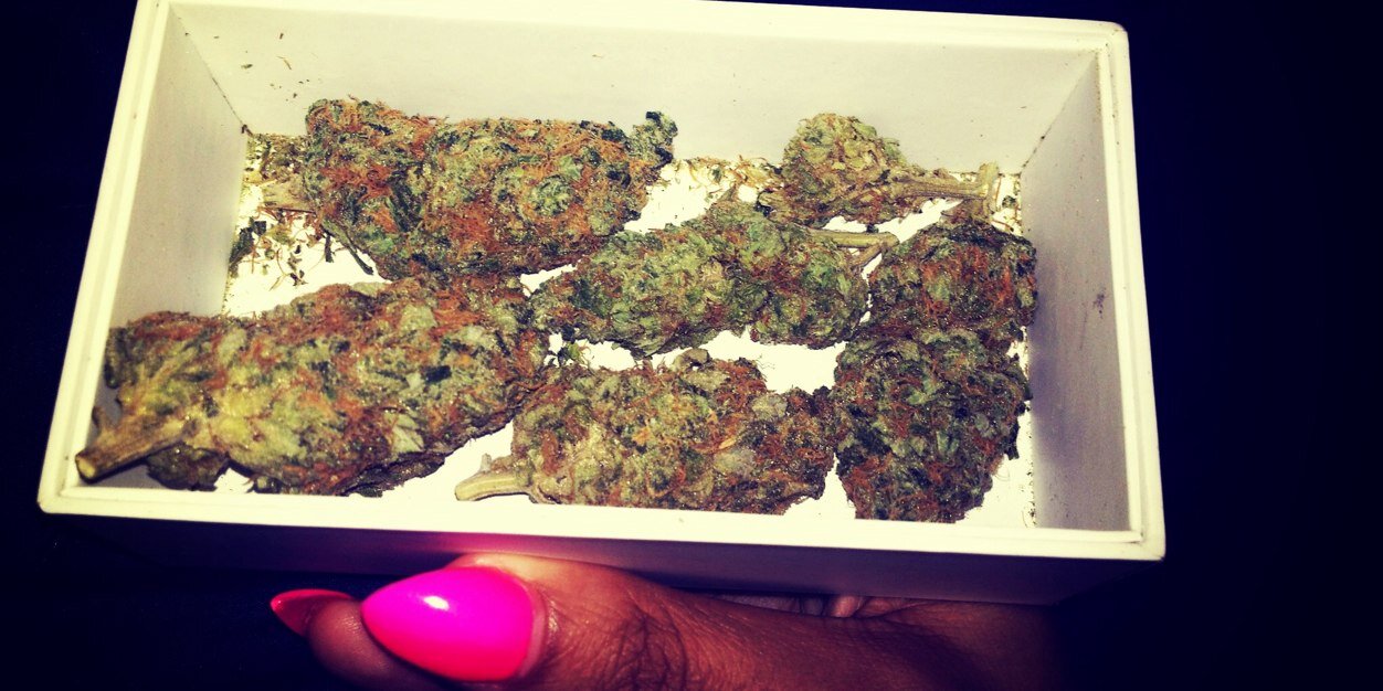 CocaineKay____'s profile banner image