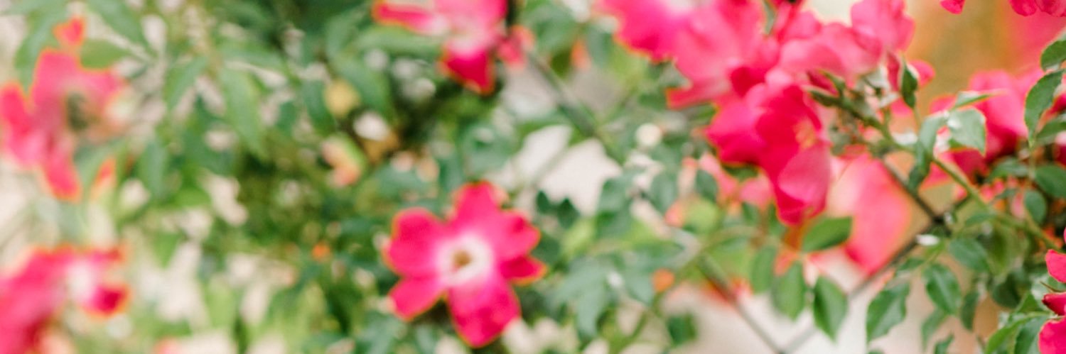 BaileyGoerner's profile banner image