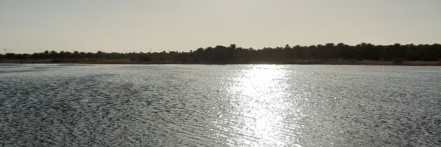 Ksarah2012's profile banner image