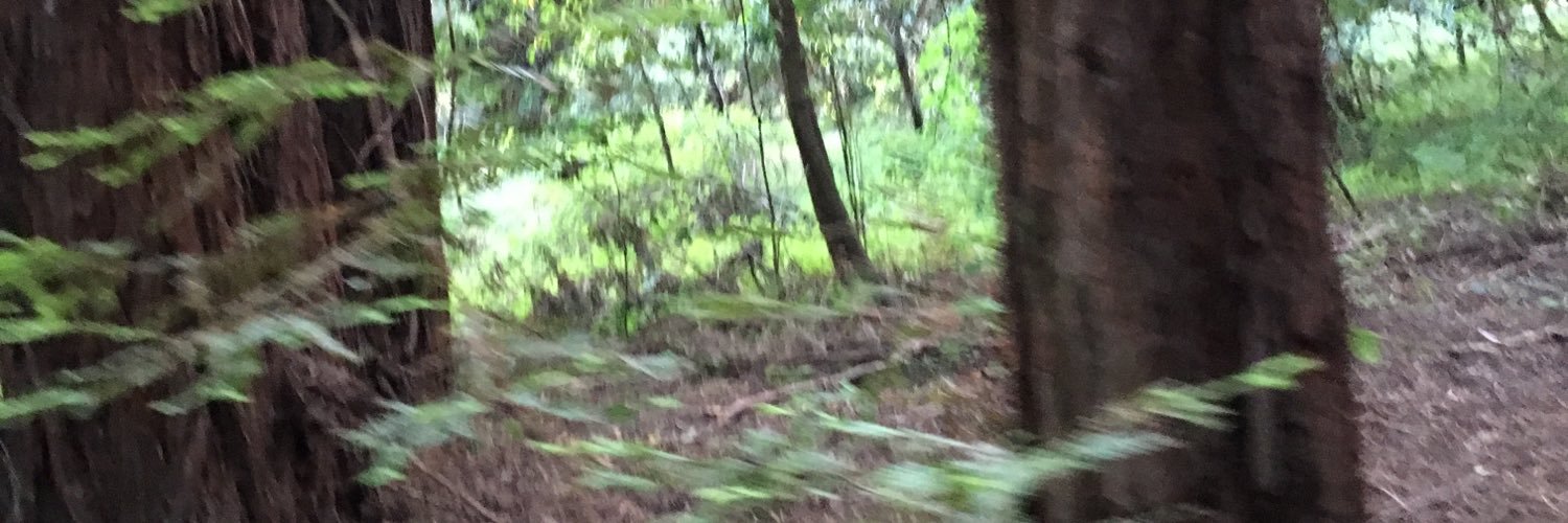dvnny_017's profile banner image