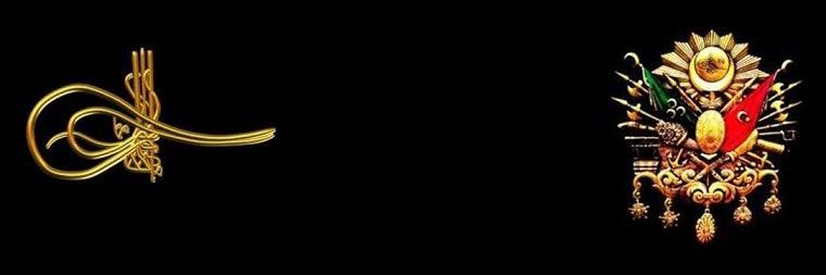 zekafa2565's profile banner image