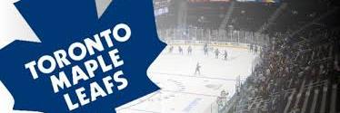 LeafsBud's profile banner image