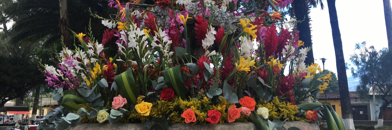 peigespa's profile banner image