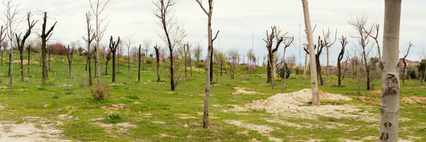 numeroteca (@numeroteca@mastodon.social) banner