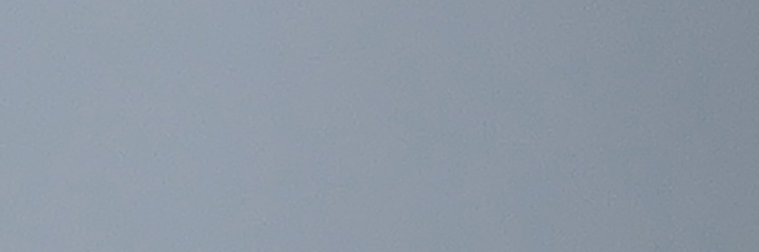 bionic woman banner