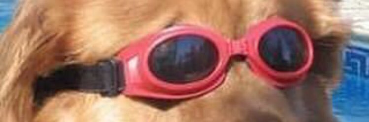leemandodger's profile banner image