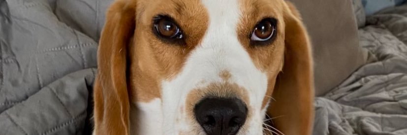 LennertVstk's profile banner image
