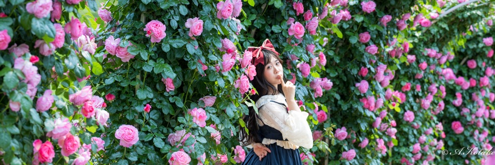 kotake_a's profile banner image