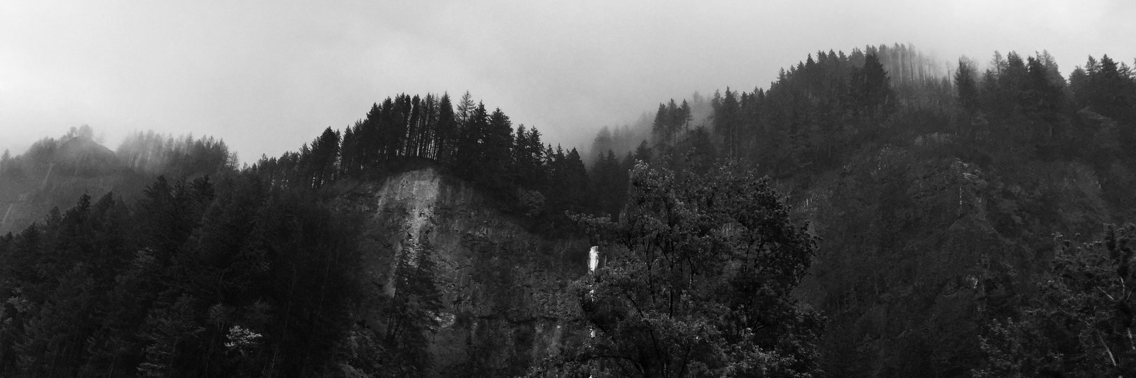 Bertrand Dubaut banner