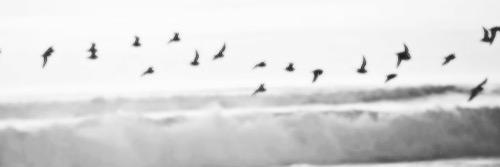 sami_styless's profile banner image