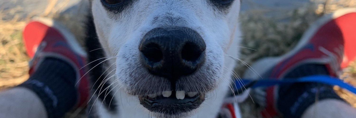 PedRamoss's profile banner image