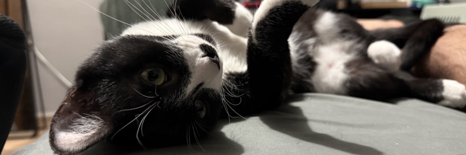 imklins's profile banner image