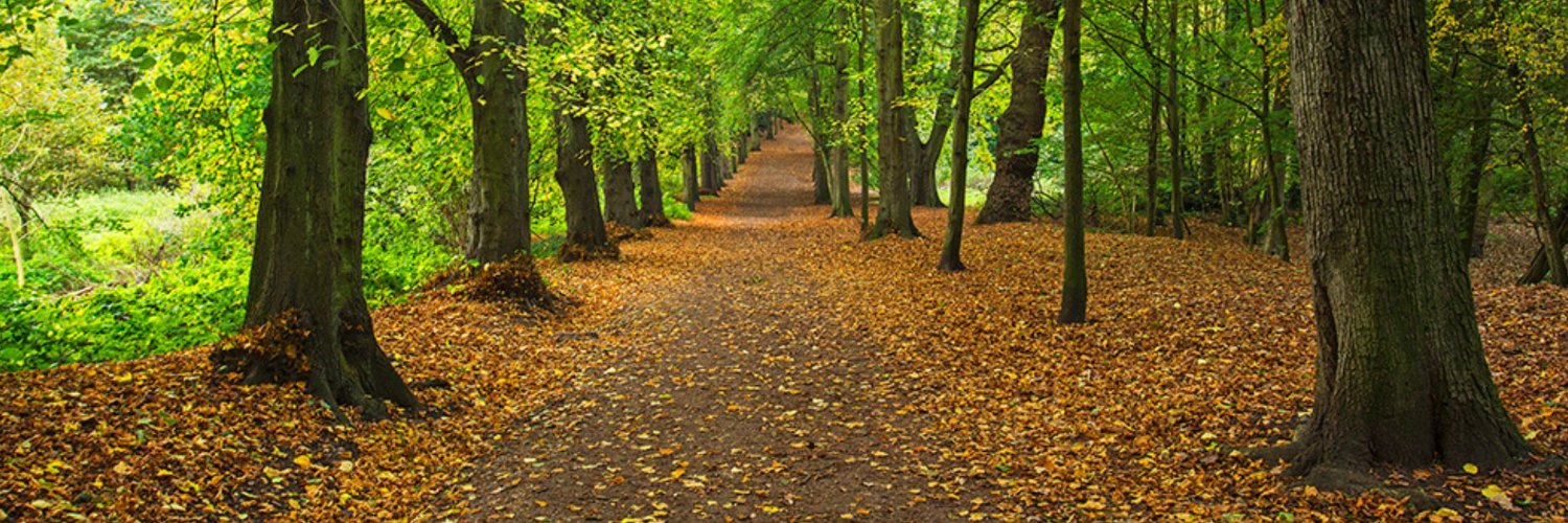 Hampstead Heath's banner