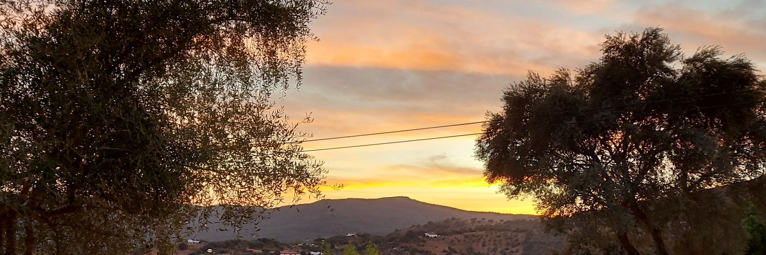 JOSAN__15's profile banner image