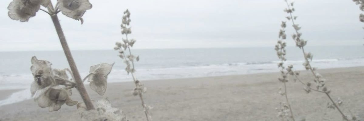thetraumaffect's profile banner image