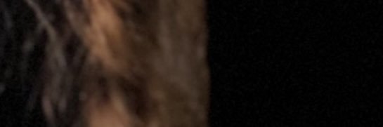 FrecklyBee's profile banner image