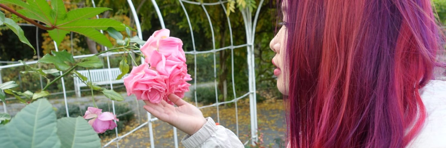_paboTofu's profile banner image