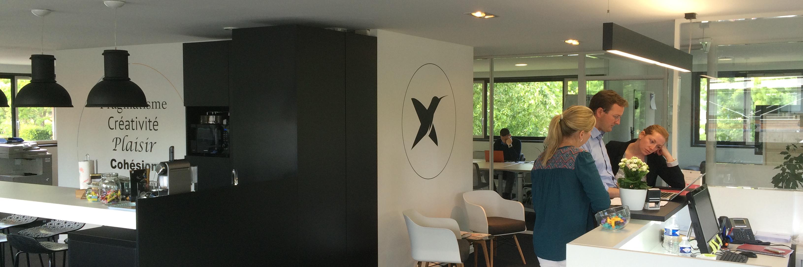PROJEXION banner
