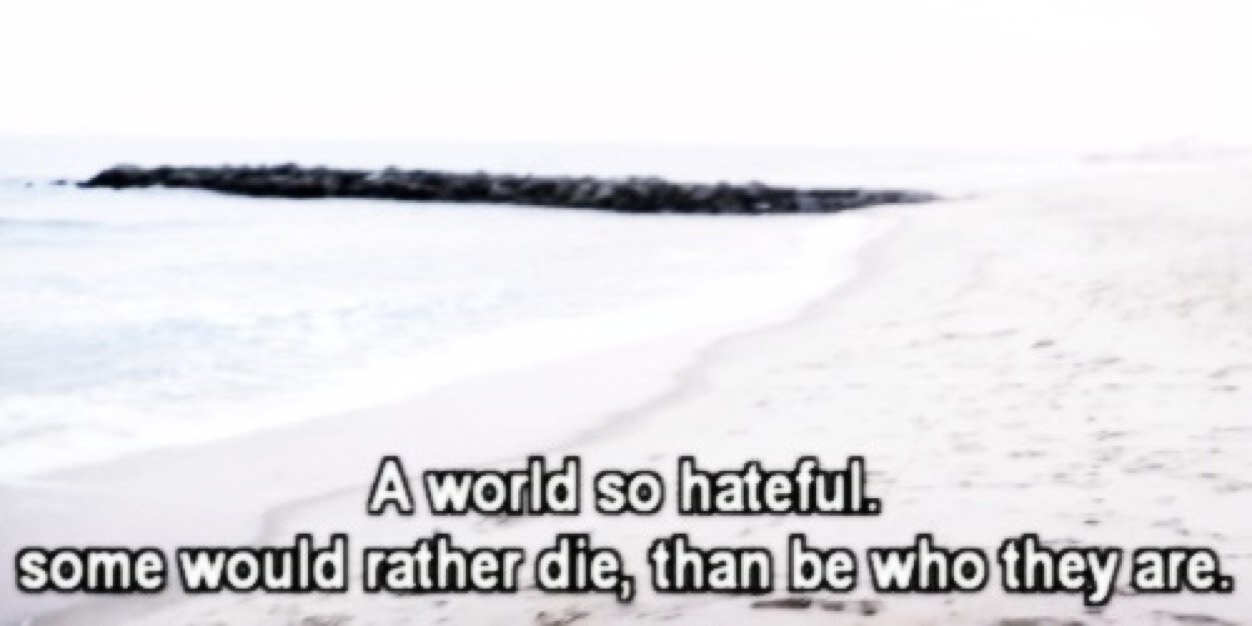 no one  banner