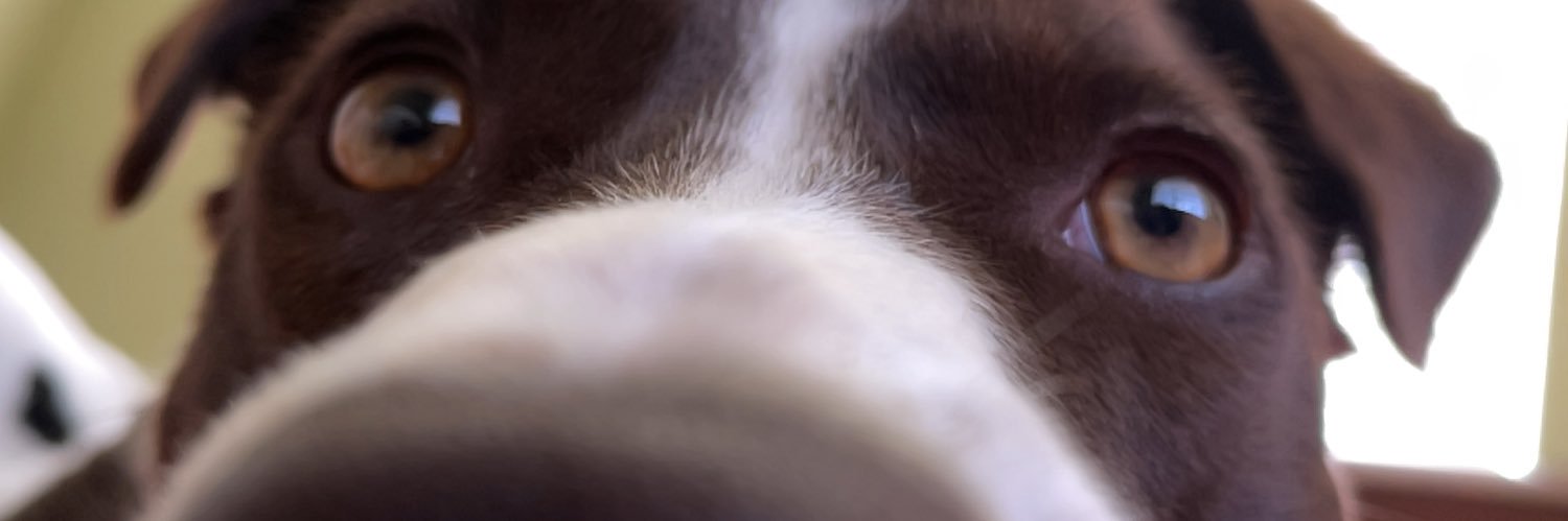 Ceeez__'s profile banner image