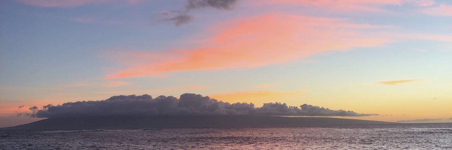 milenaavuk's profile banner image