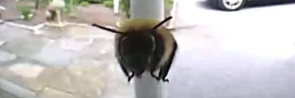 NWalker2002 Profile Banner