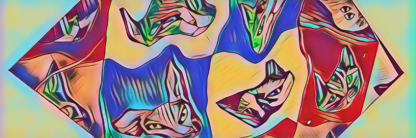 0xZap's profile banner image