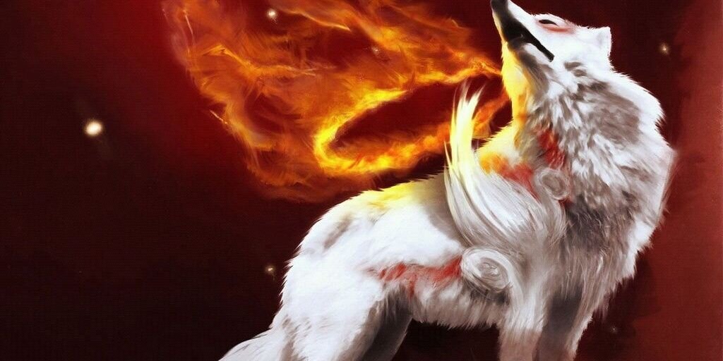 Follow@insanitydog25 banner