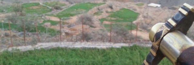 alshihhi banner
