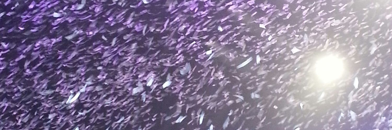 varainav's profile banner image