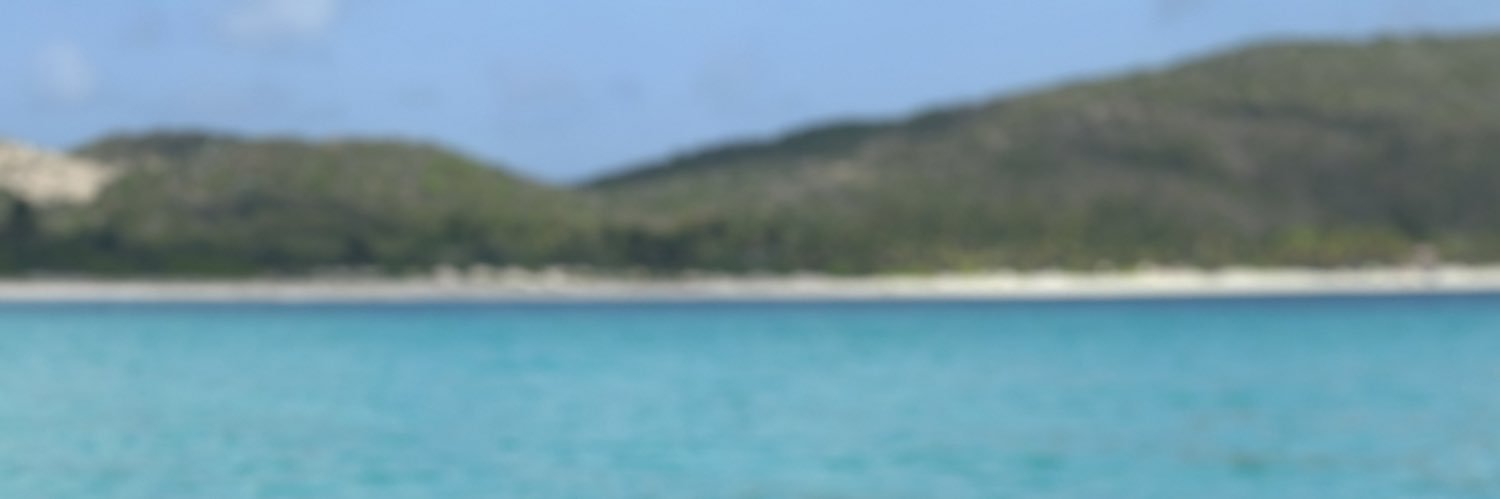 mickey_mar99's profile banner image