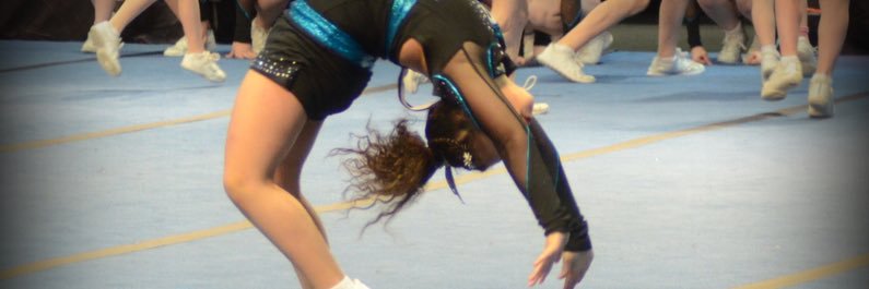Kelly Lee banner