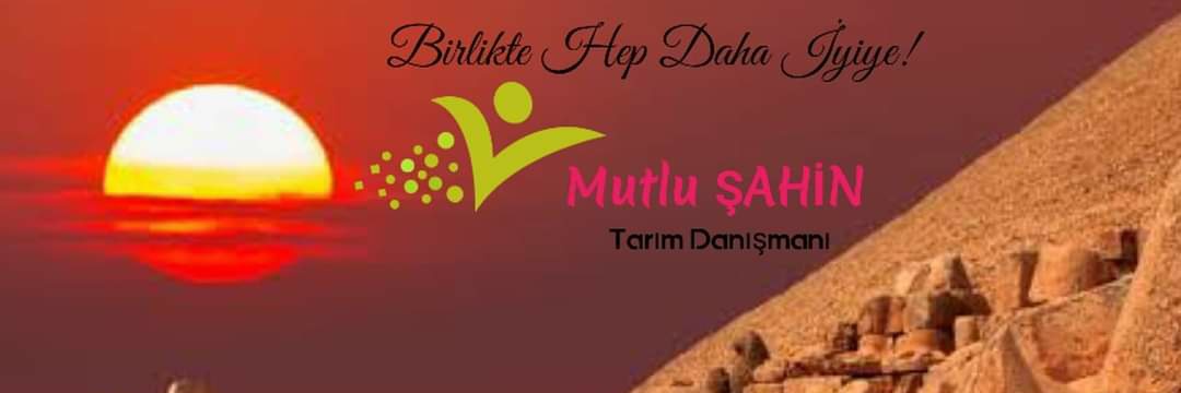 mtd__2010's profile banner image