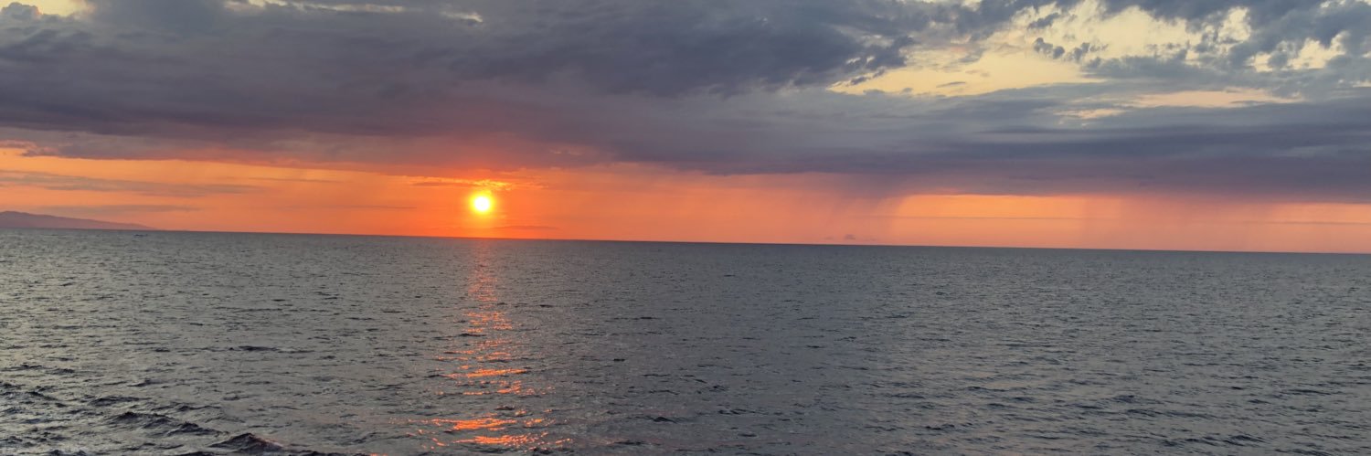 domiere's profile banner image