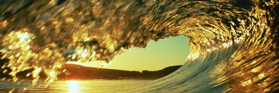 Capitalist Exploits banner