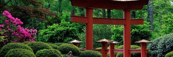 dury Profile Banner