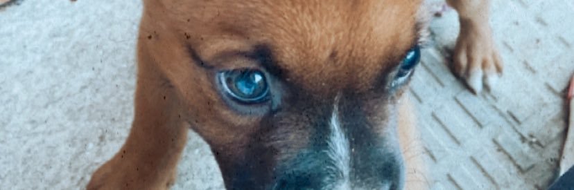 Luuciaa_LC's profile banner image