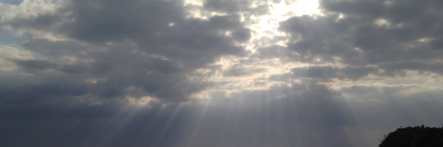 431sgr's profile banner image