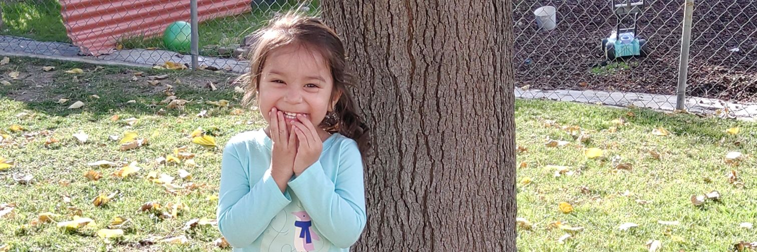 Royal Amnesty banner