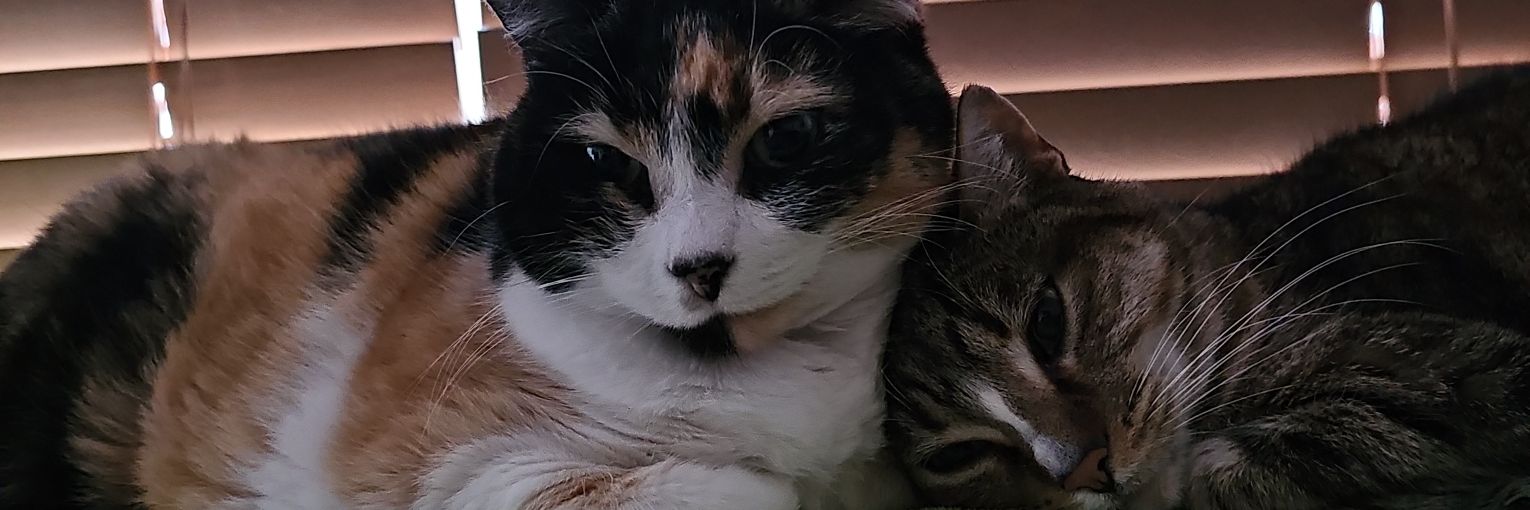 nthomas769's profile banner image