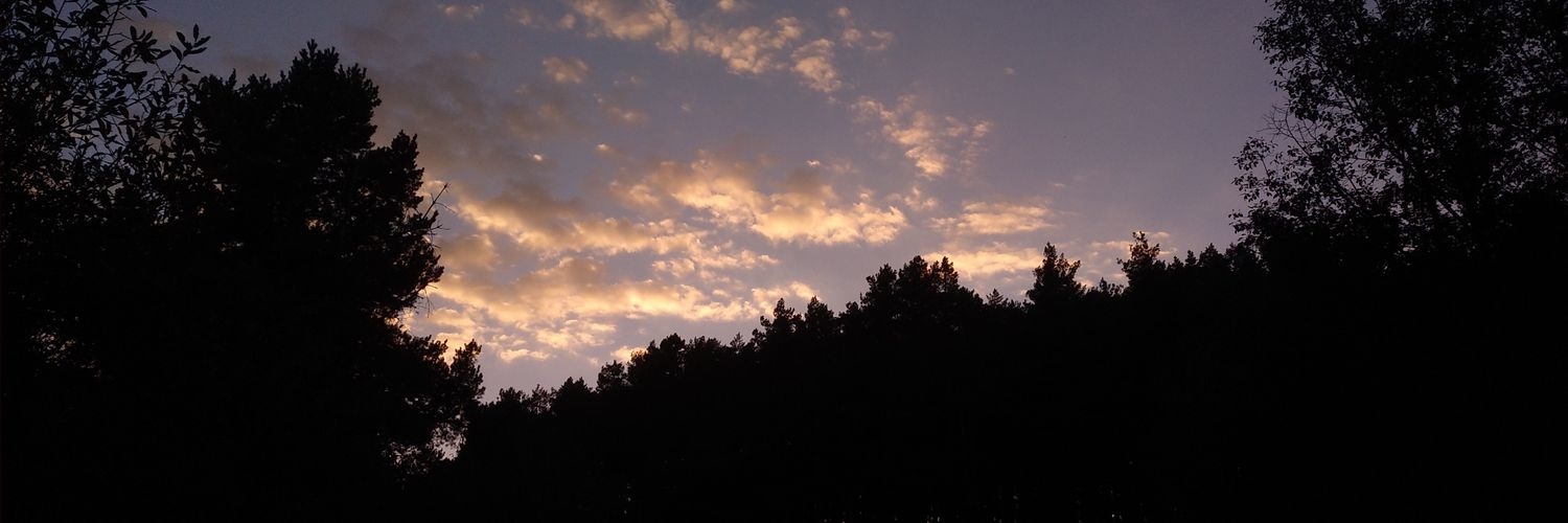Ruth Drake banner